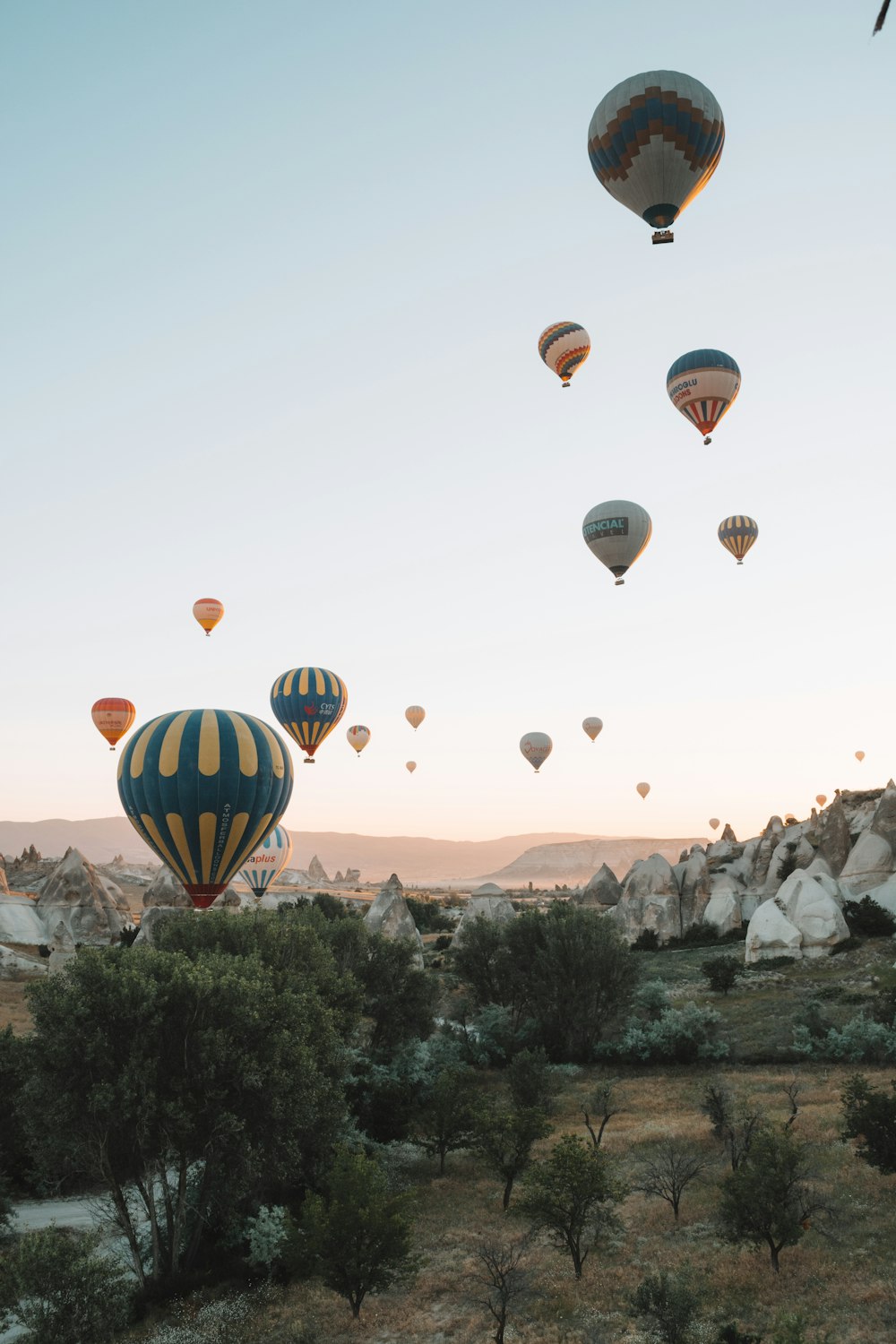 hot air balloons on mid air