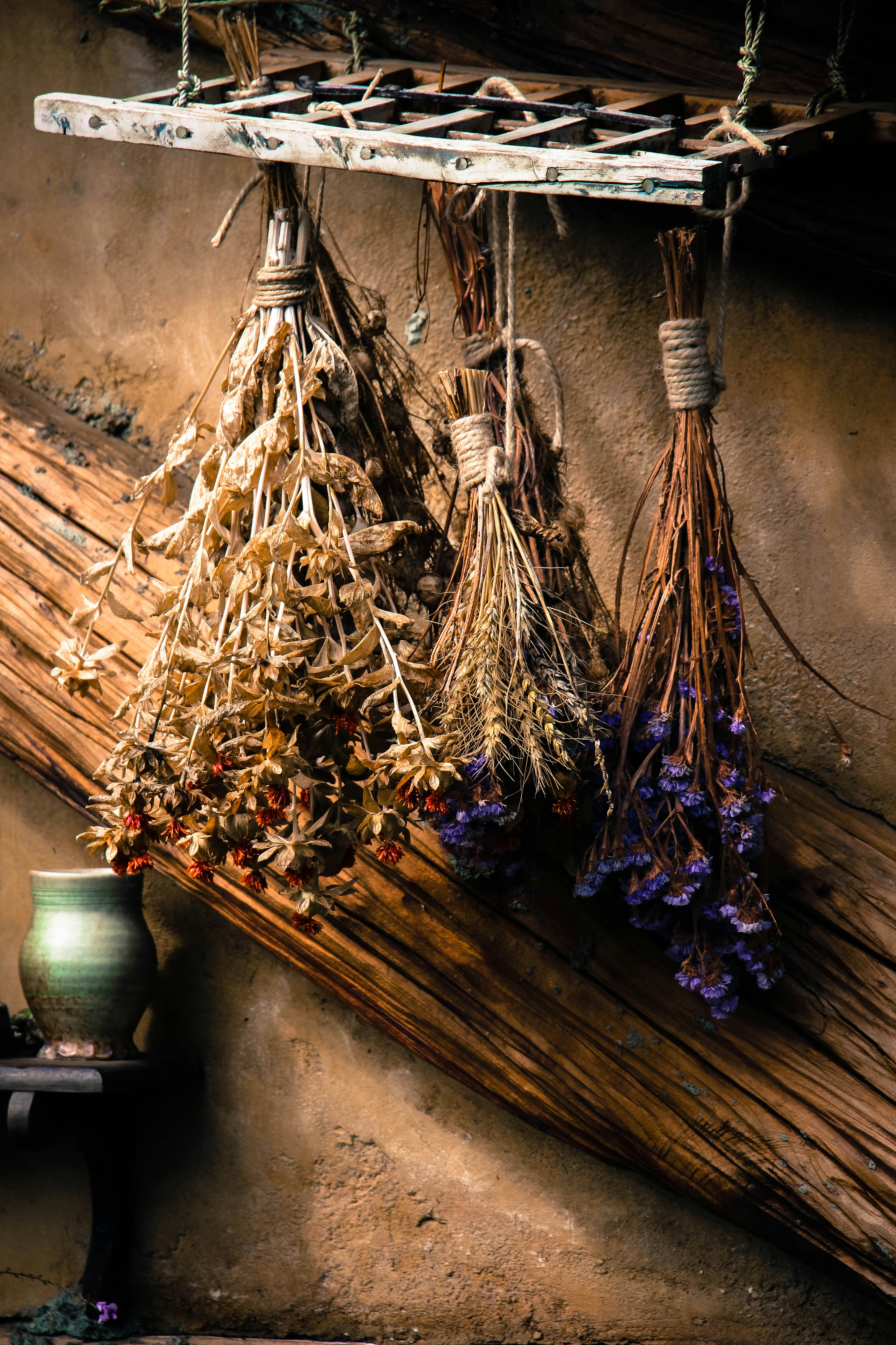 Dried herbs and botanical ingredients arranged on a rustic wooden table