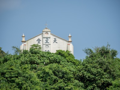 A church building is partially obscured by lush green trees and vegetation. The facade is light in color with decorative architectural elements and there are some large, bold characters on it. The sky is clear and blue, adding a serene backdrop.
