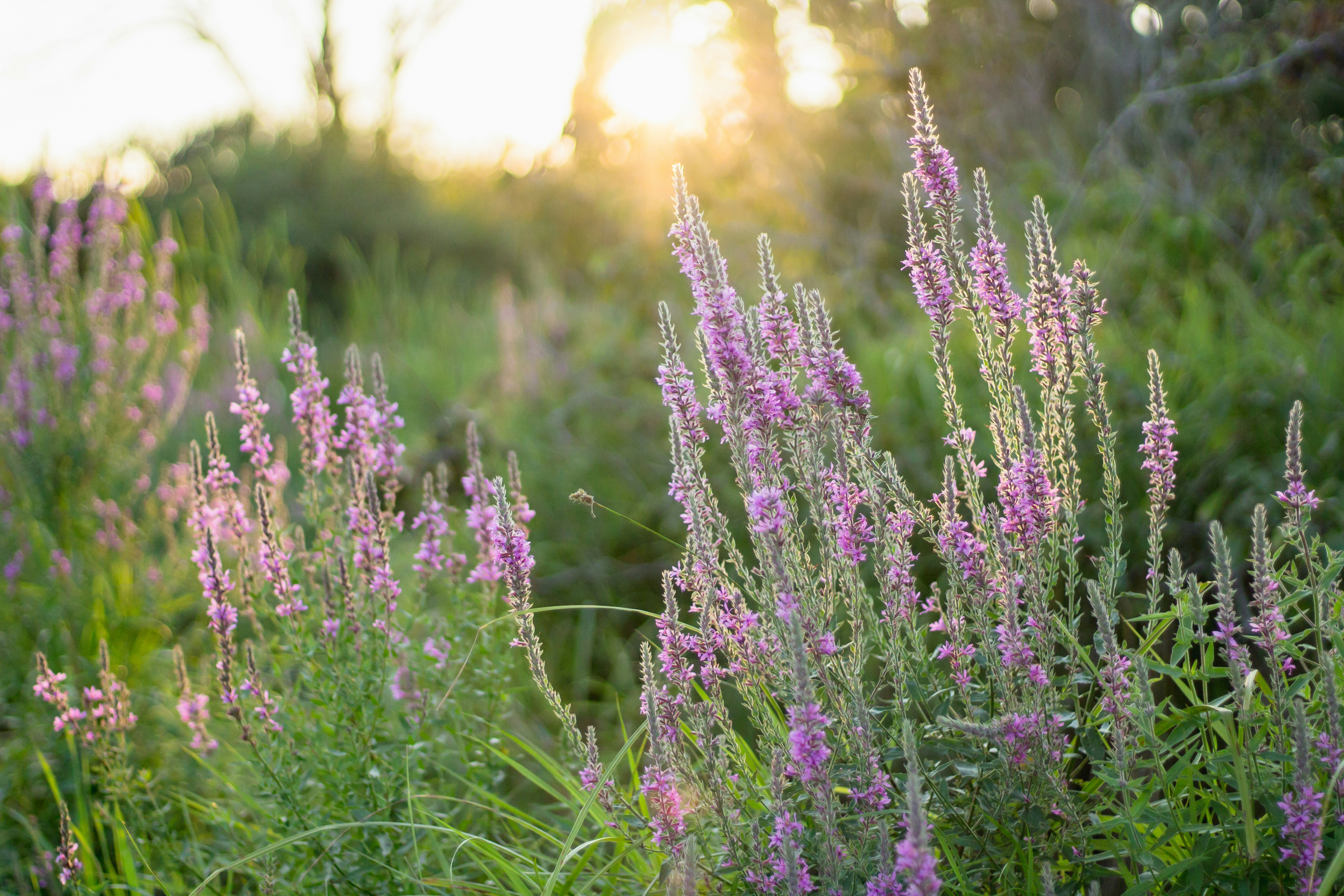 Photo by bonniekdesign