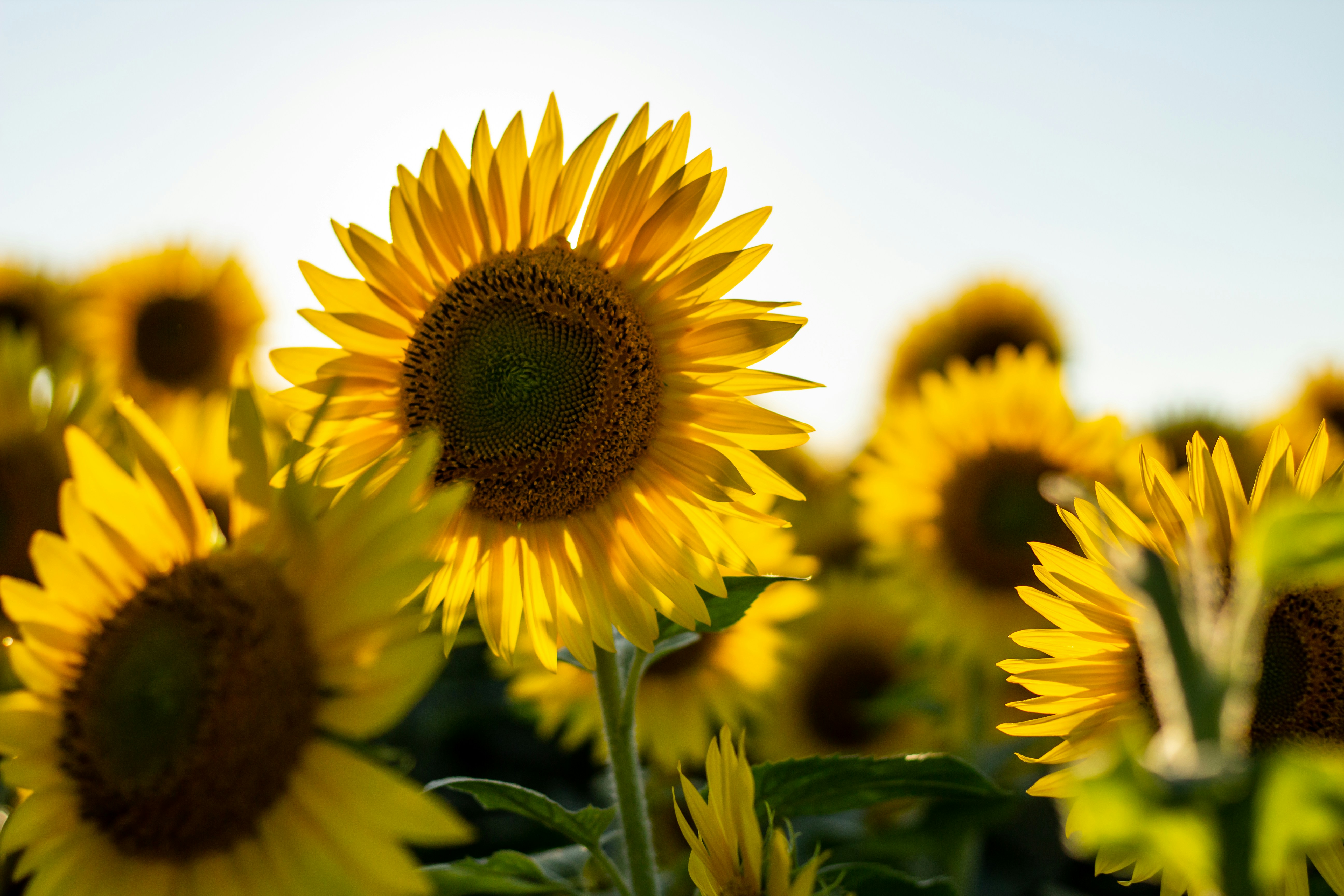 Photo by bonniekdesign