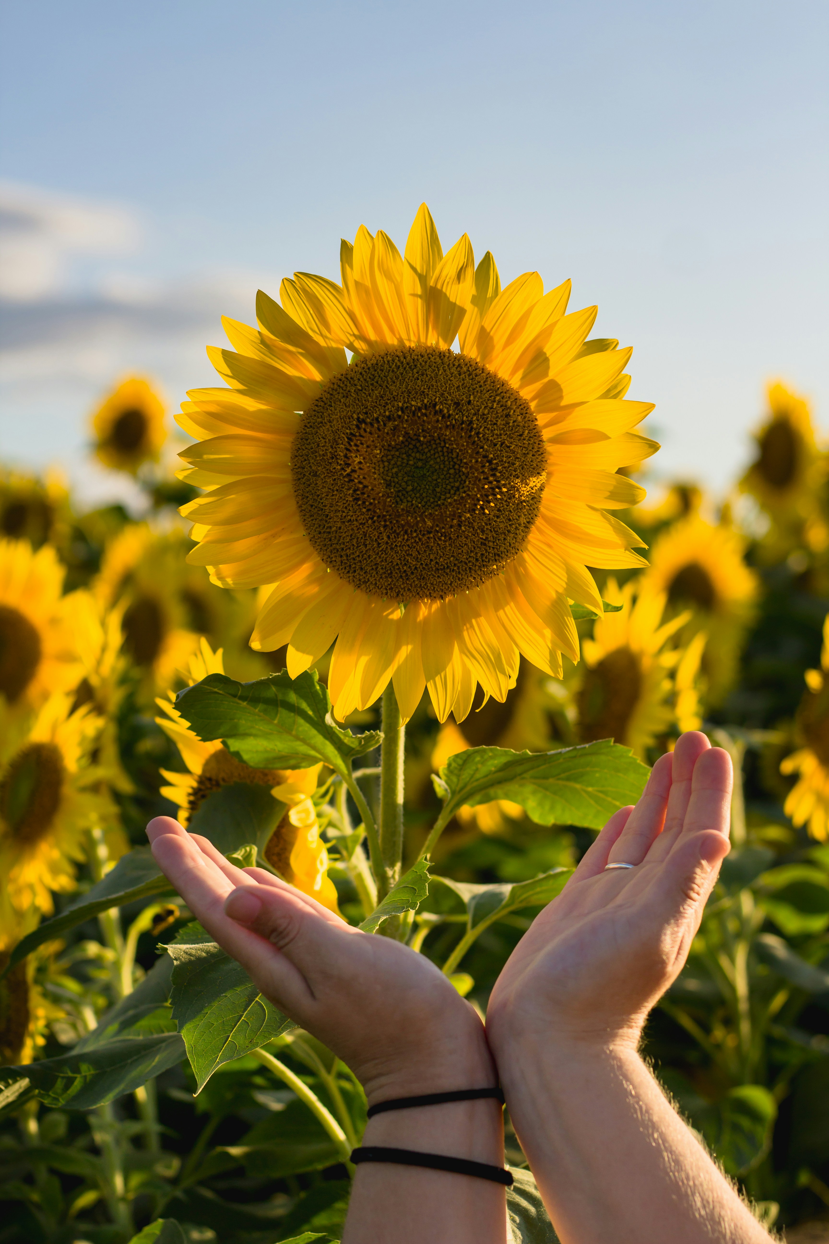 Photo by bonniekdesign