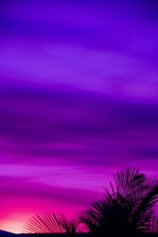 tree and pink sky painting