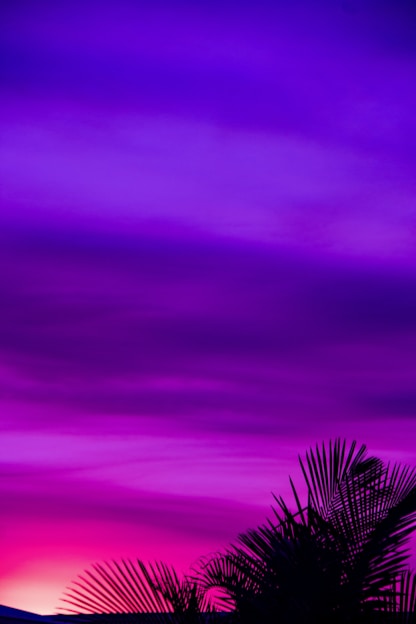 tree and pink sky painting