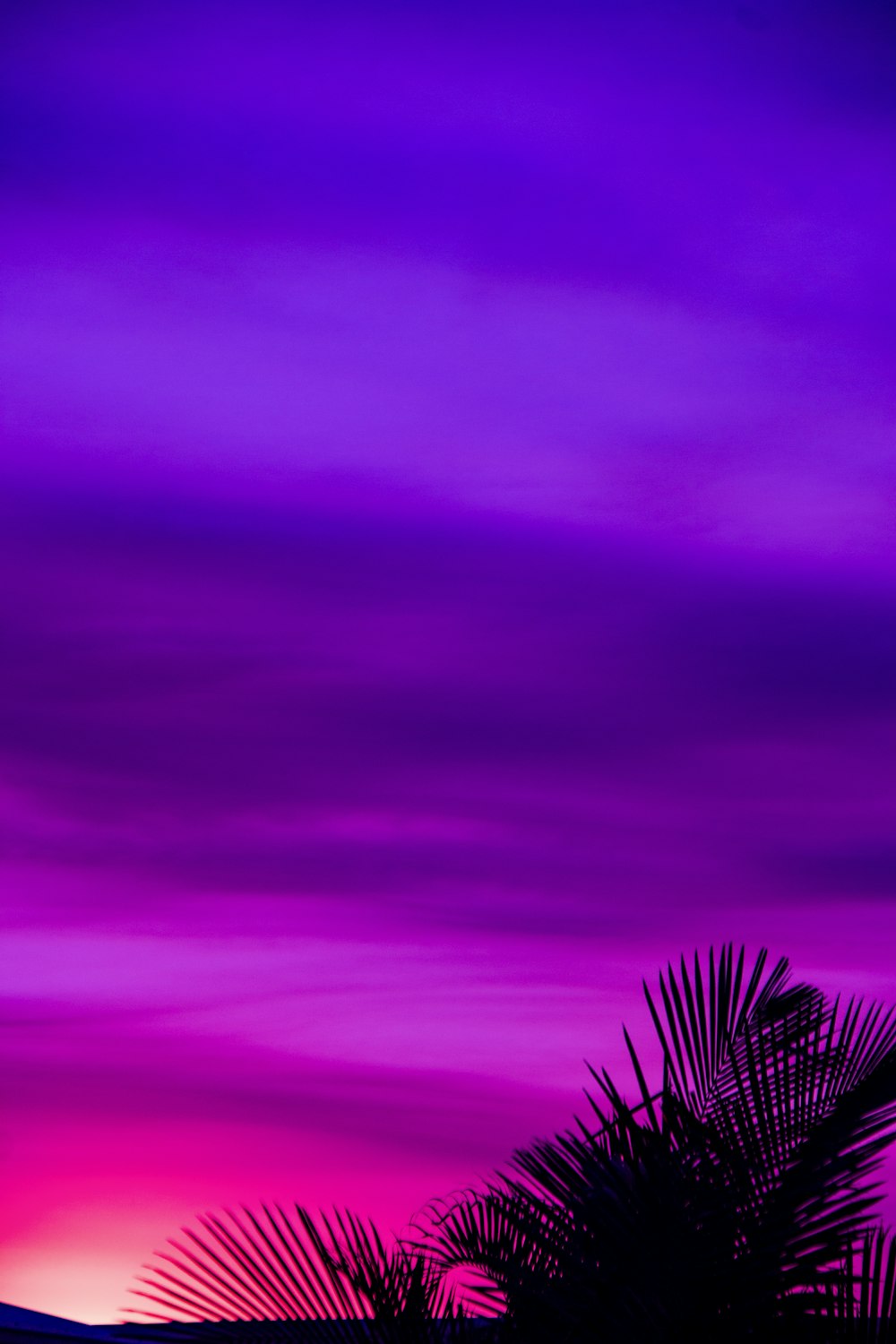 solid purple wallpaper hd