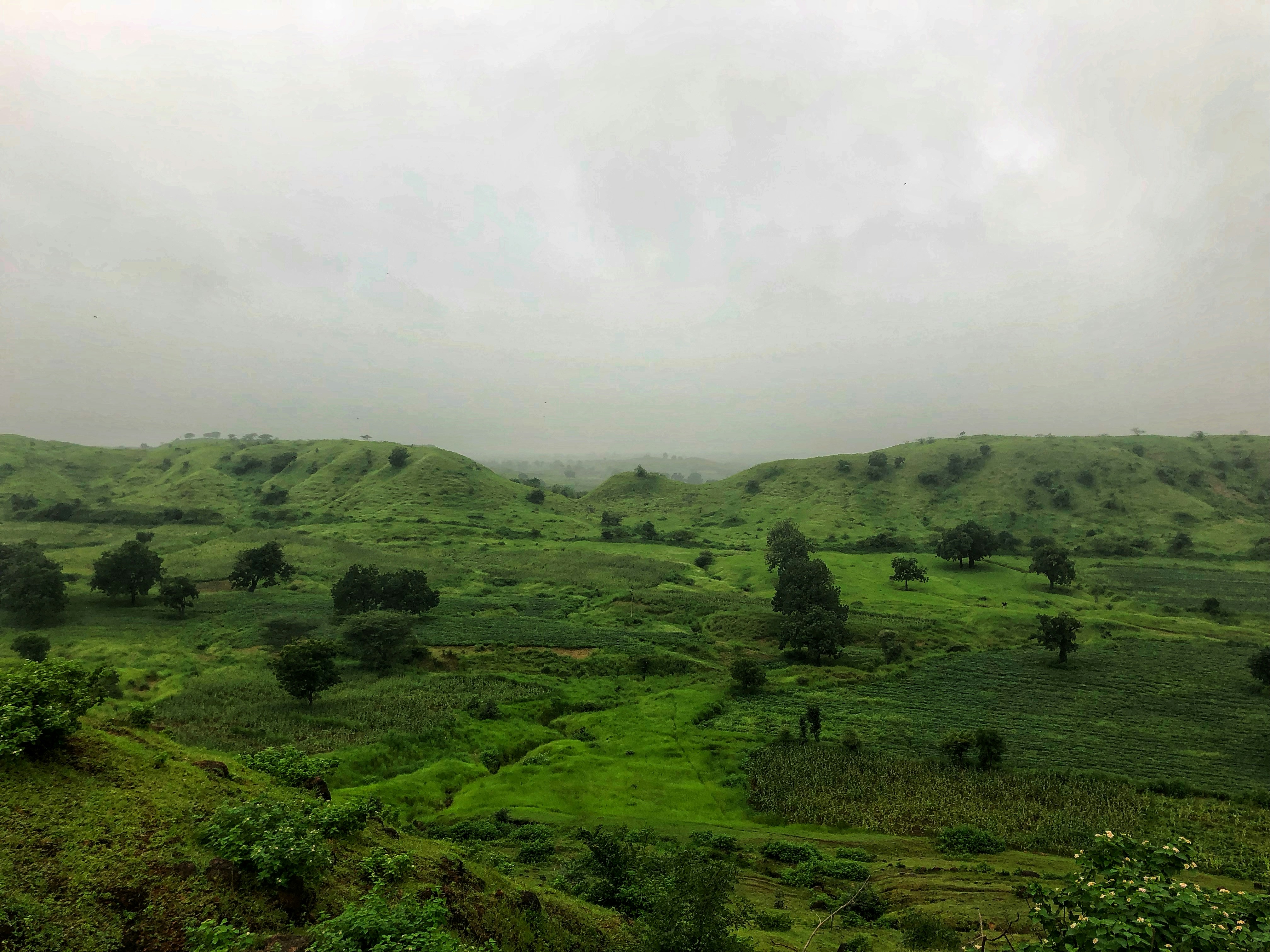 Photo by malini_2503