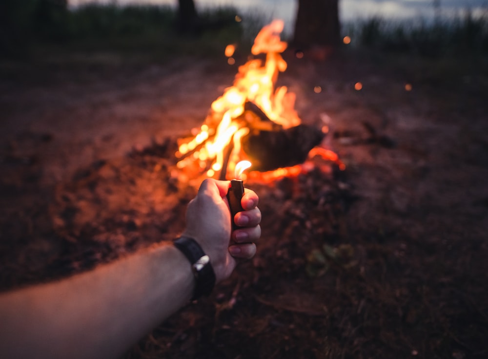 person holding disposable lighter