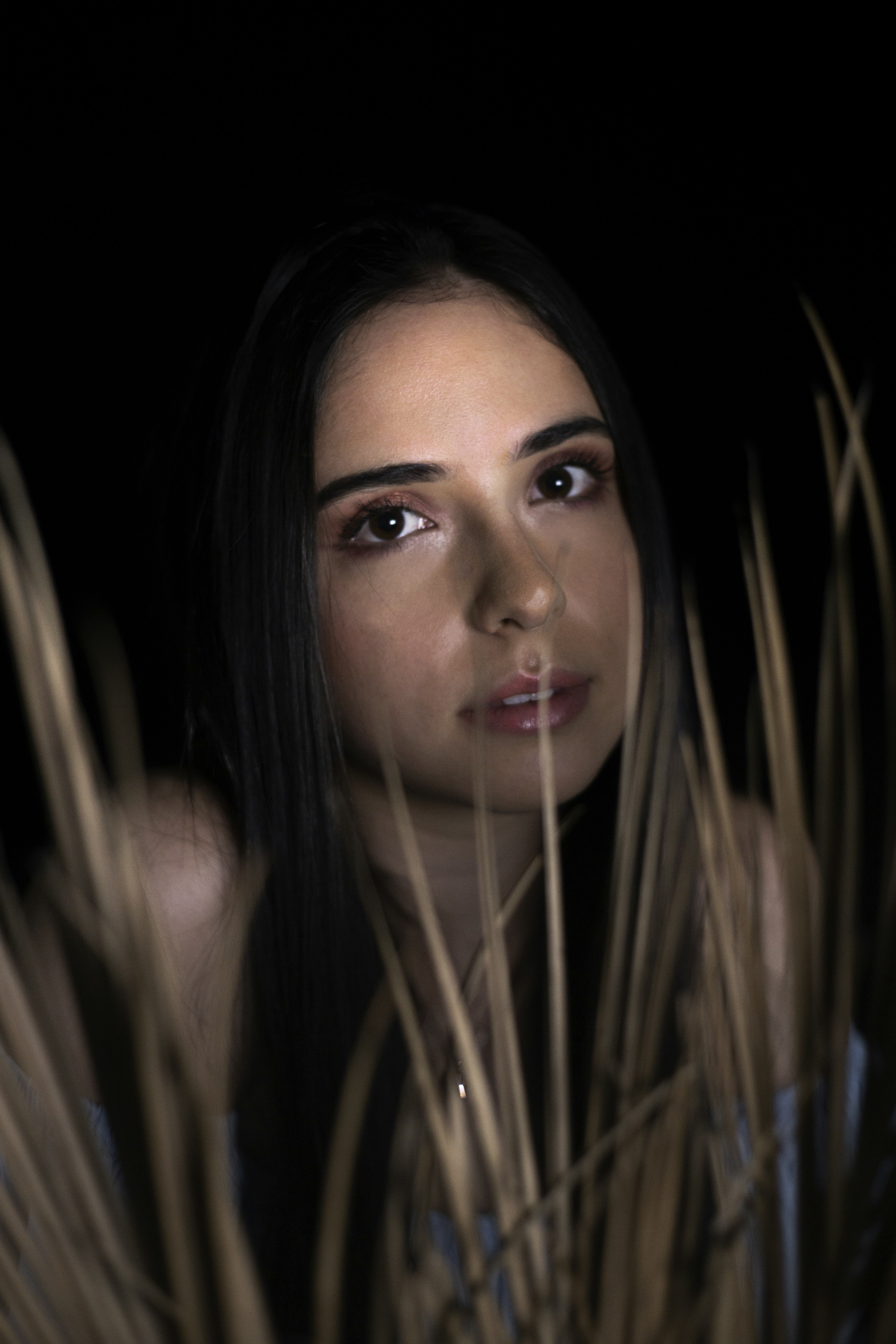 Photo by ricardookami