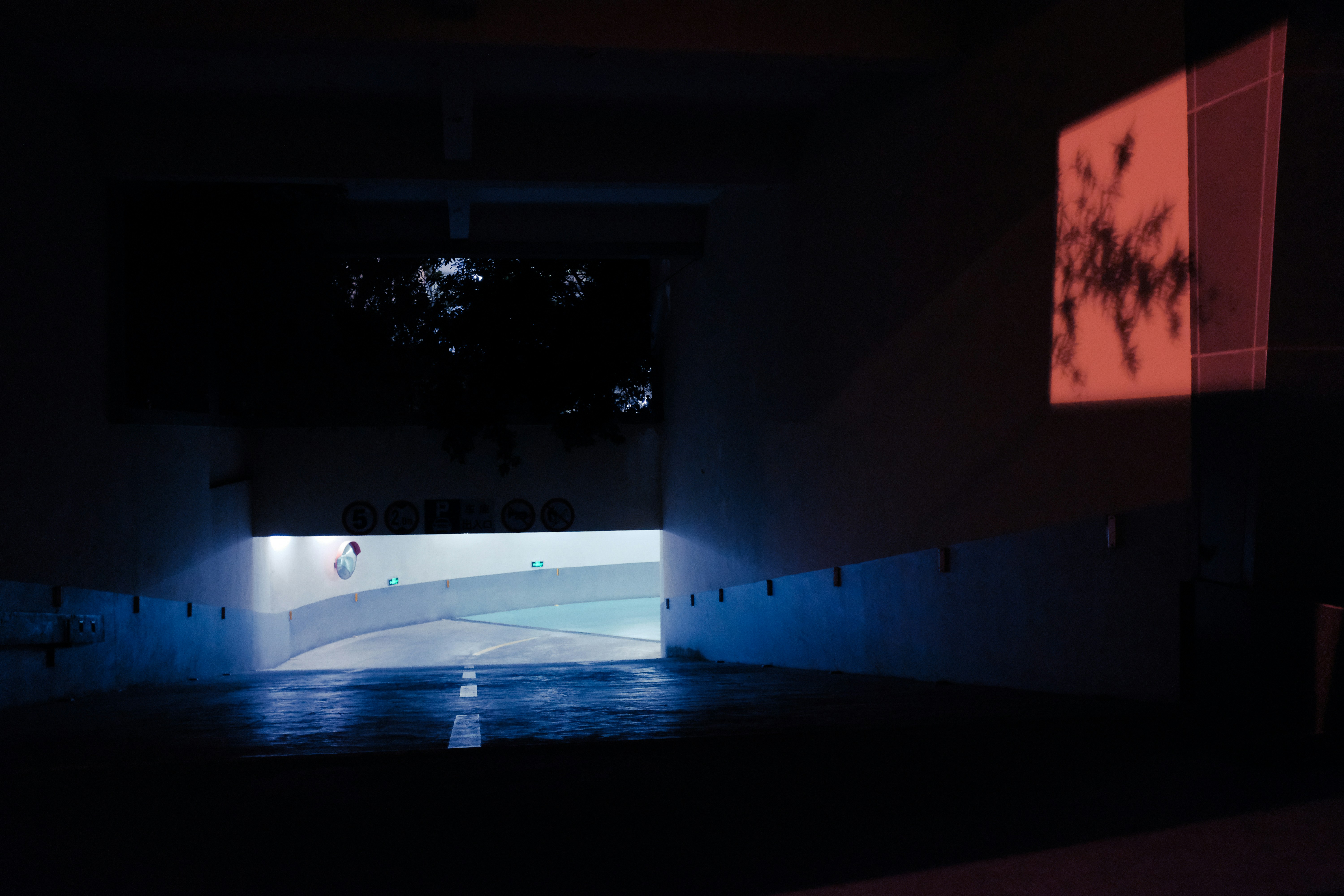 Photo by kennyzhang29