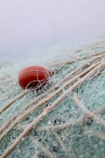 A tangled mass of fishing nets intertwined with various thick ropes, featuring a prominent red buoy amidst the pale green and beige colors of the netting.