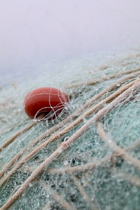 A tangled mass of fishing nets intertwined with various thick ropes, featuring a prominent red buoy amidst the pale green and beige colors of the netting.