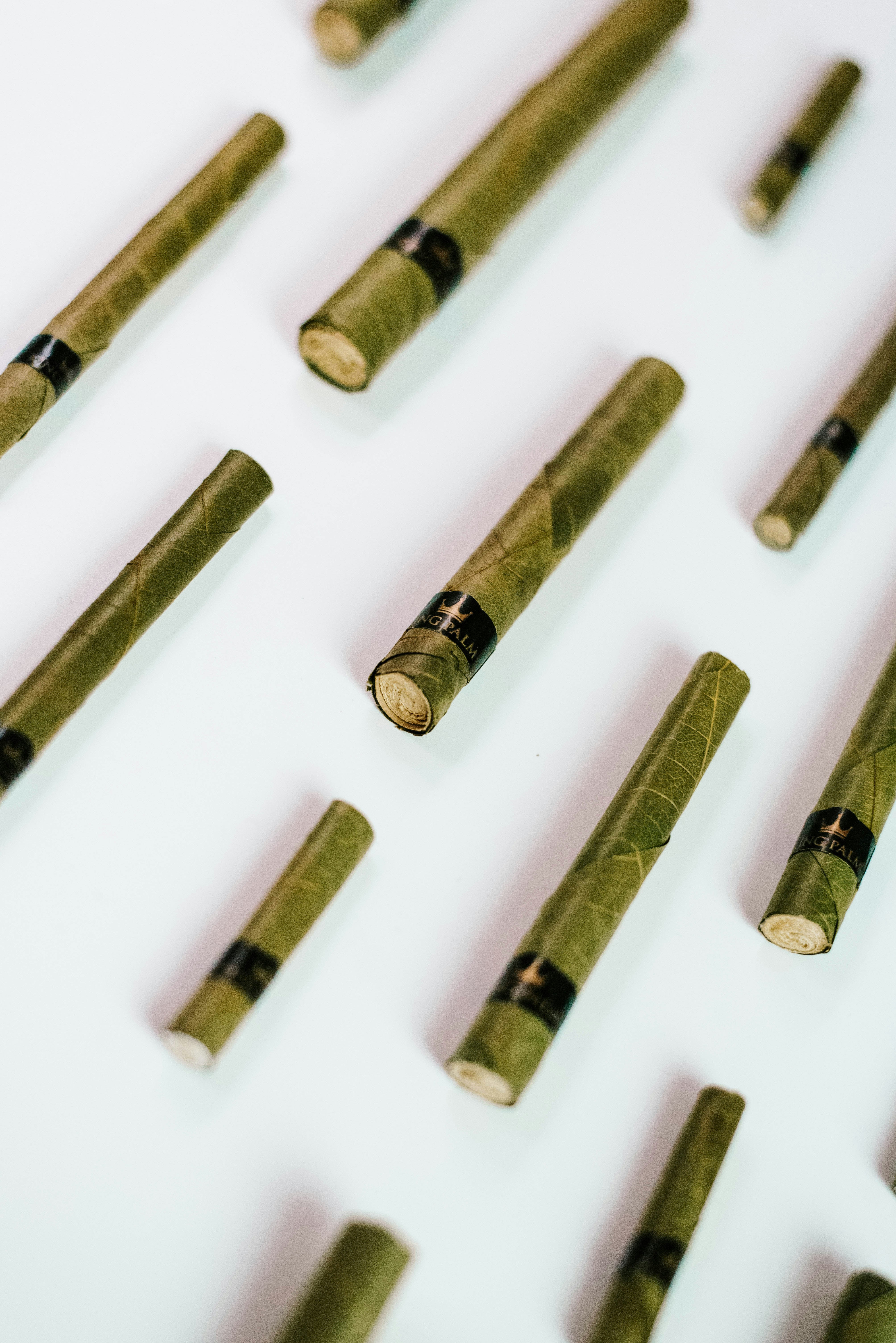 Photo by nsprmediakp