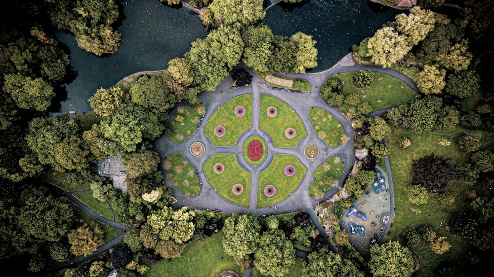 aerial photo forest