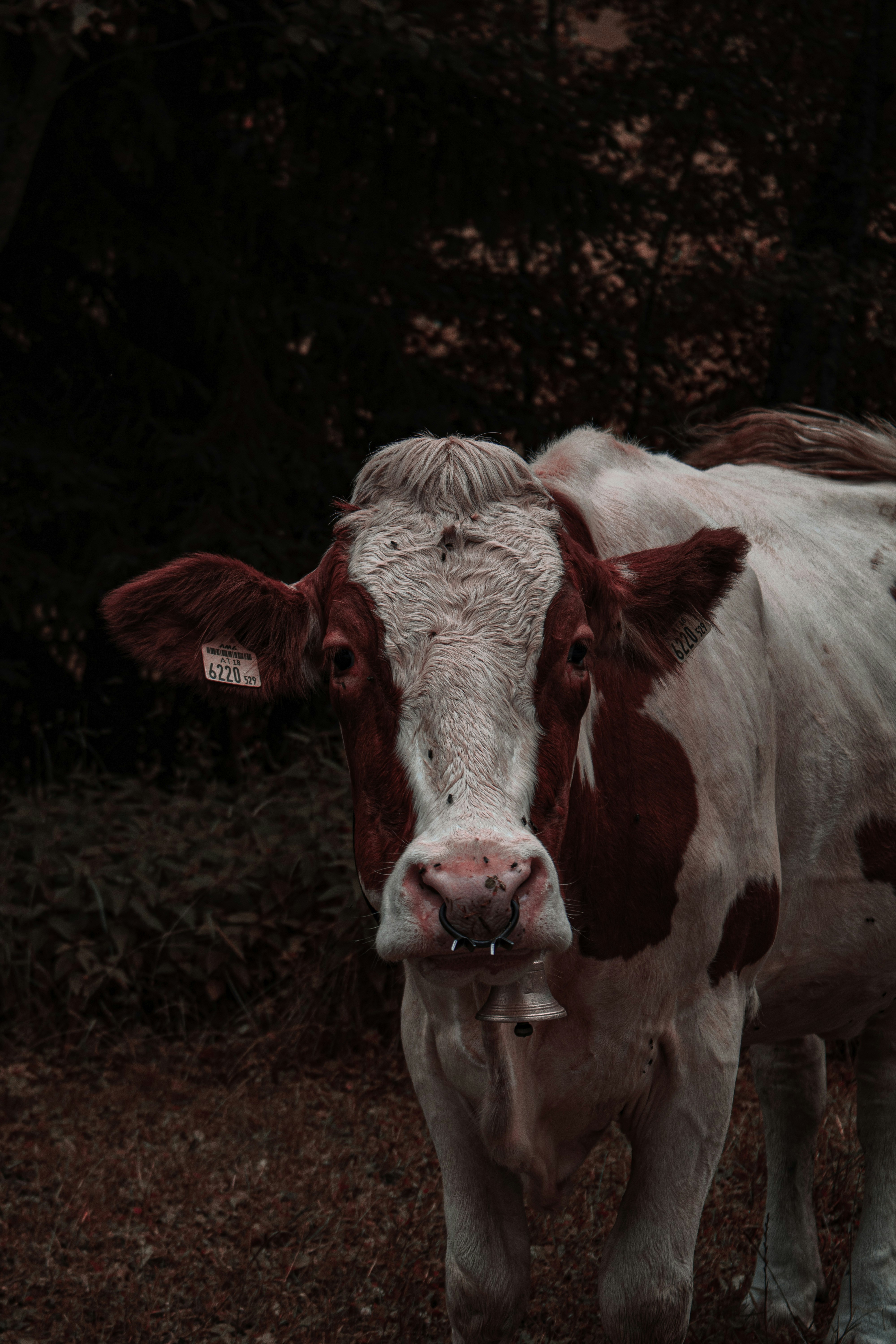 Photo by otvlieshout