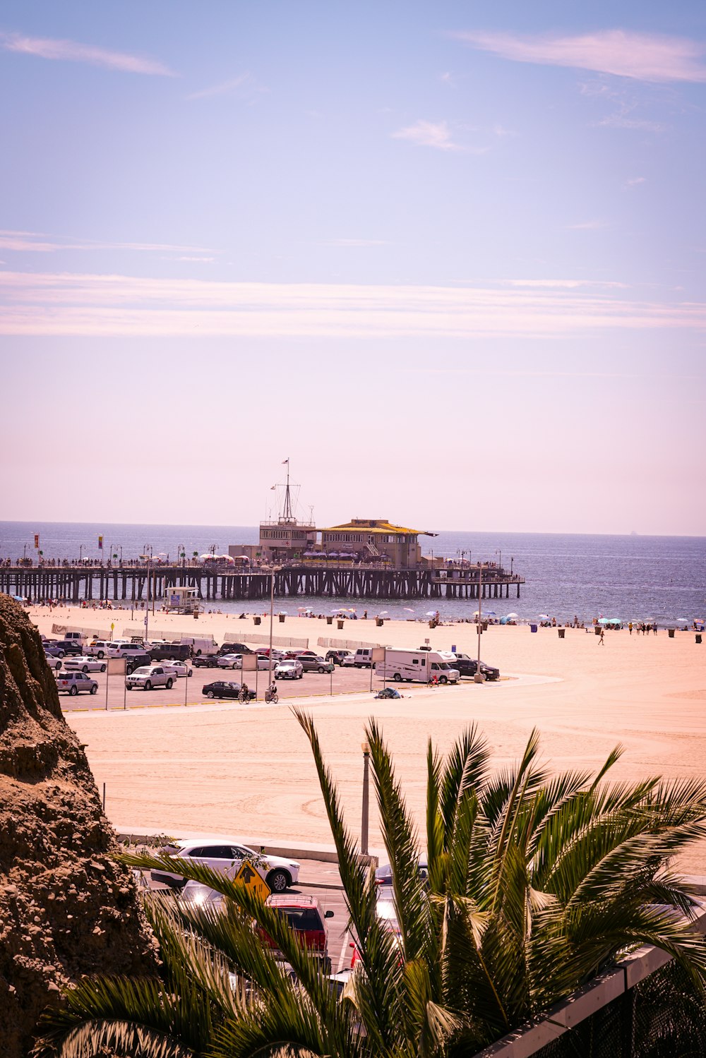 green palm tree near seashore during daytime photo