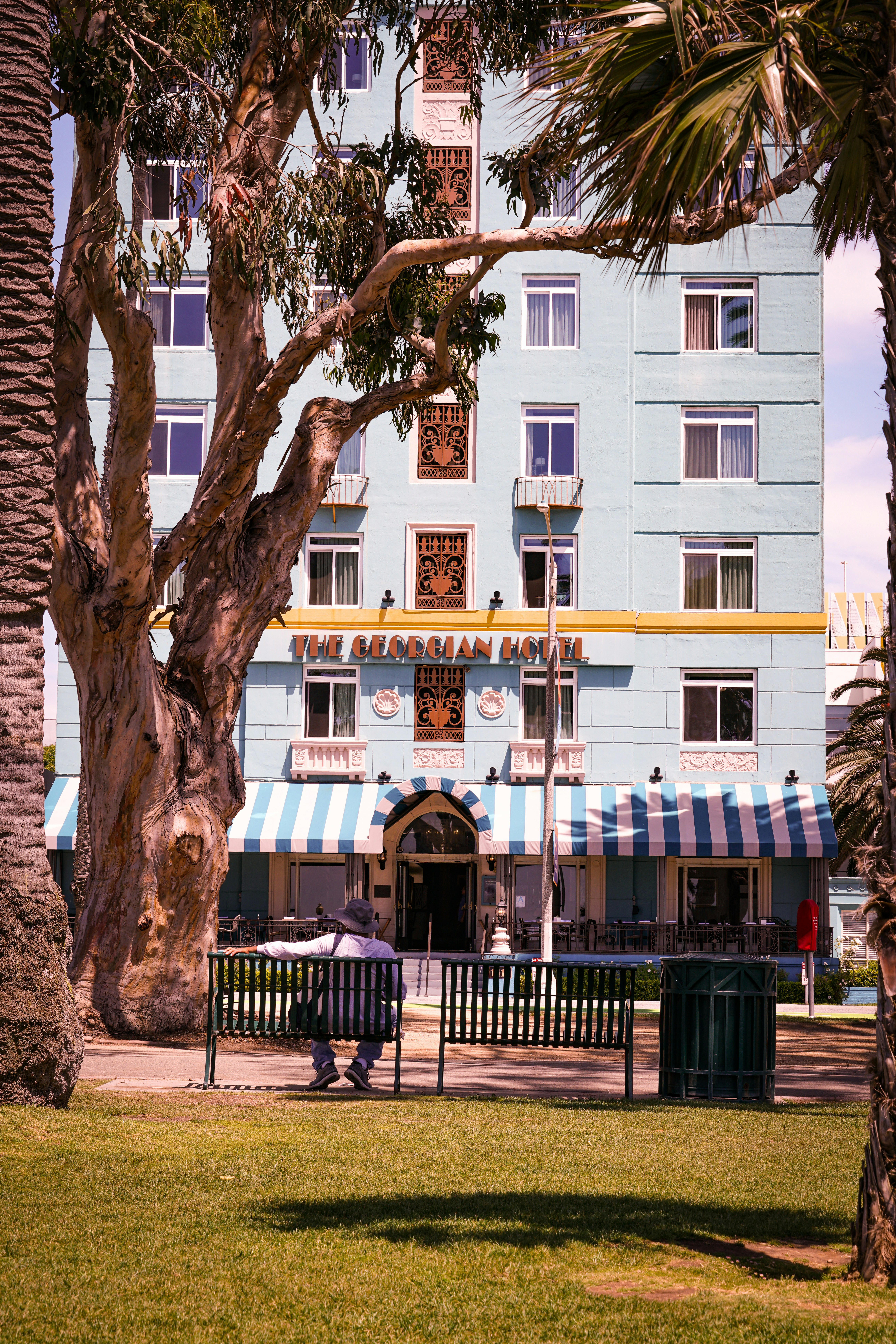 person sitting on bench beside tree during daytime