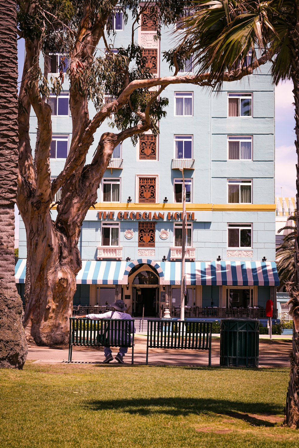 person sitting on bench beside tree during daytime