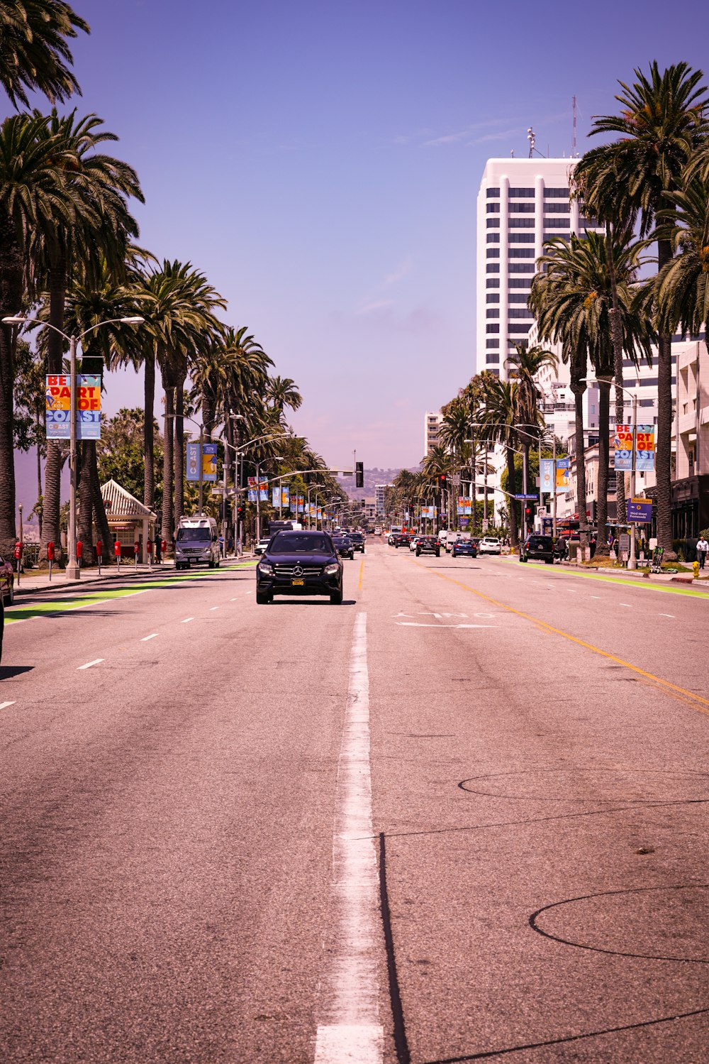 black car at middle of road