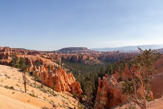 Vast landscape featuring striking orange and red rock formations, with pointed spires known as hoodoos. Dense green forestry spans the lower areas, contrasting with the natural stone structures, under a clear blue sky.