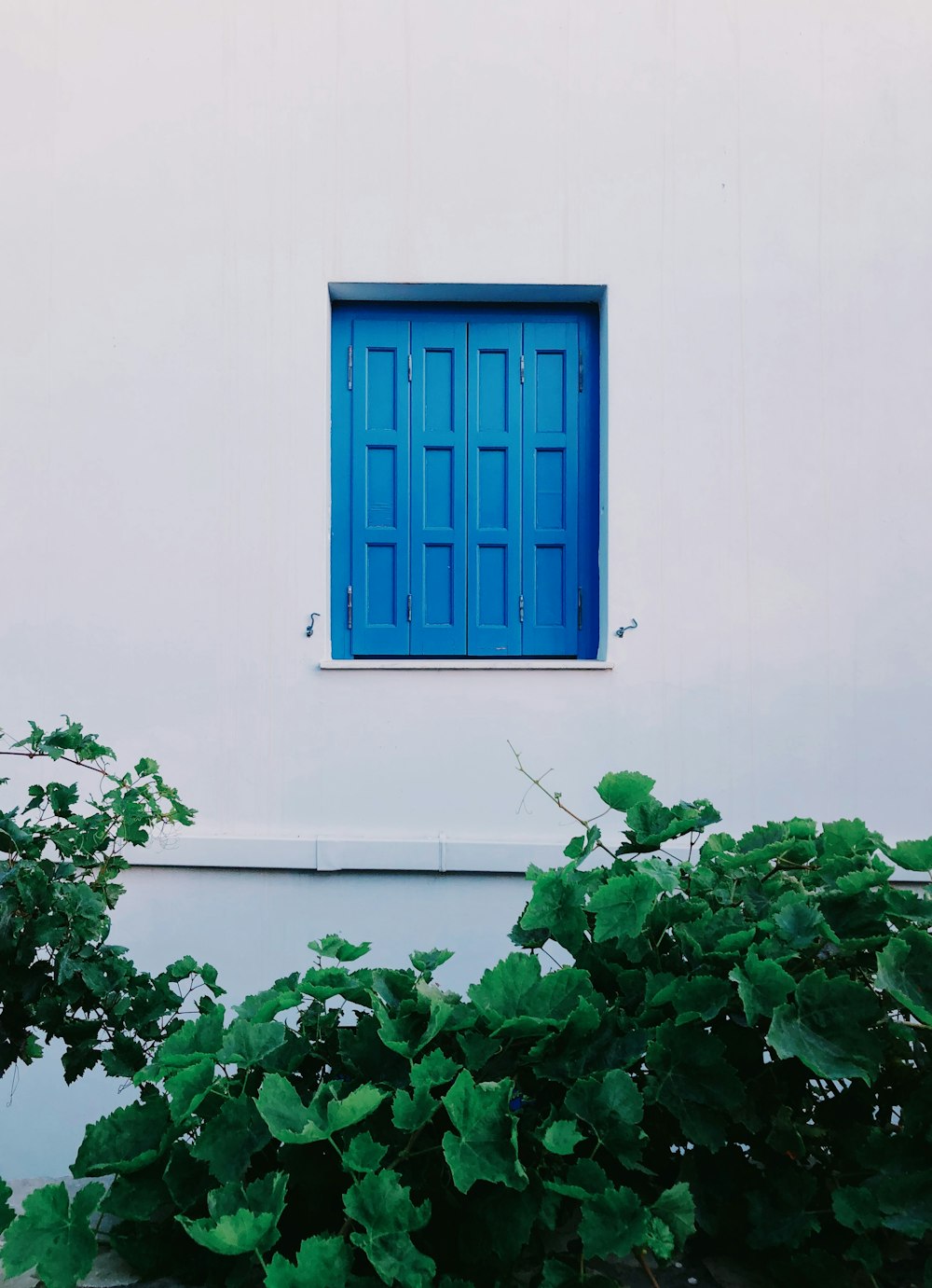 blue wooden panel window pane