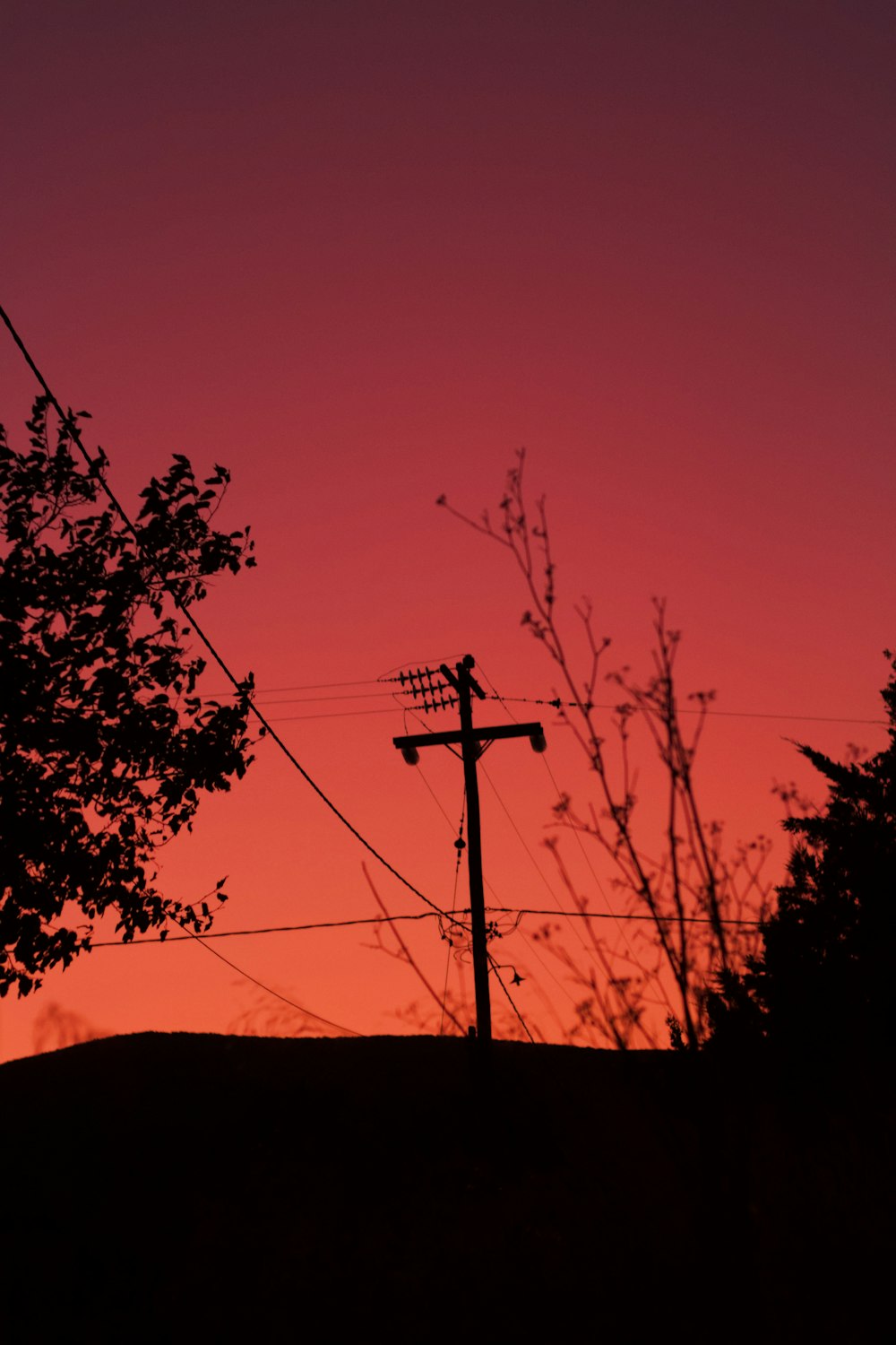 silhouette of utility pole and trees