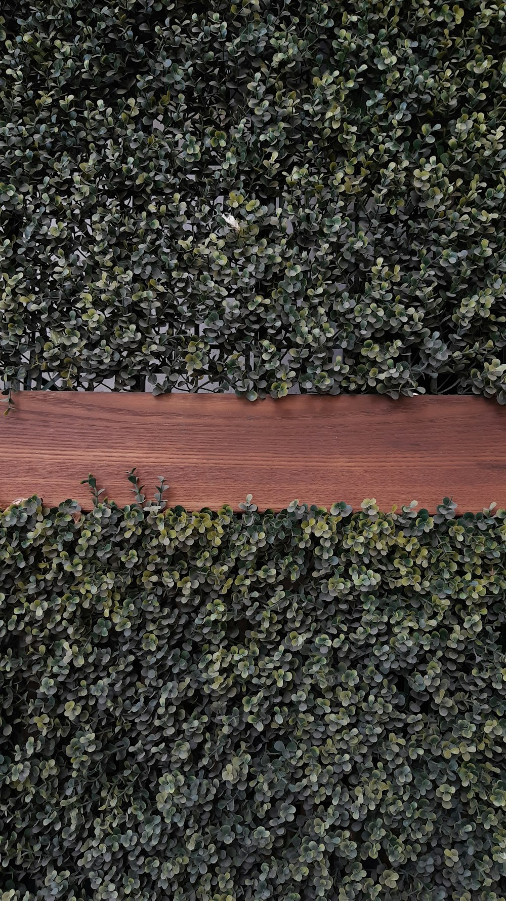 an aerial view of a wooden bench in the middle of a hedge