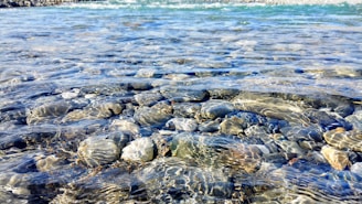 Clear water reveals smooth stones beneath, with gentle ripples capturing light reflections. The water appears crisp and blue at the top, transitioning to revealing stones of various grays and browns beneath.