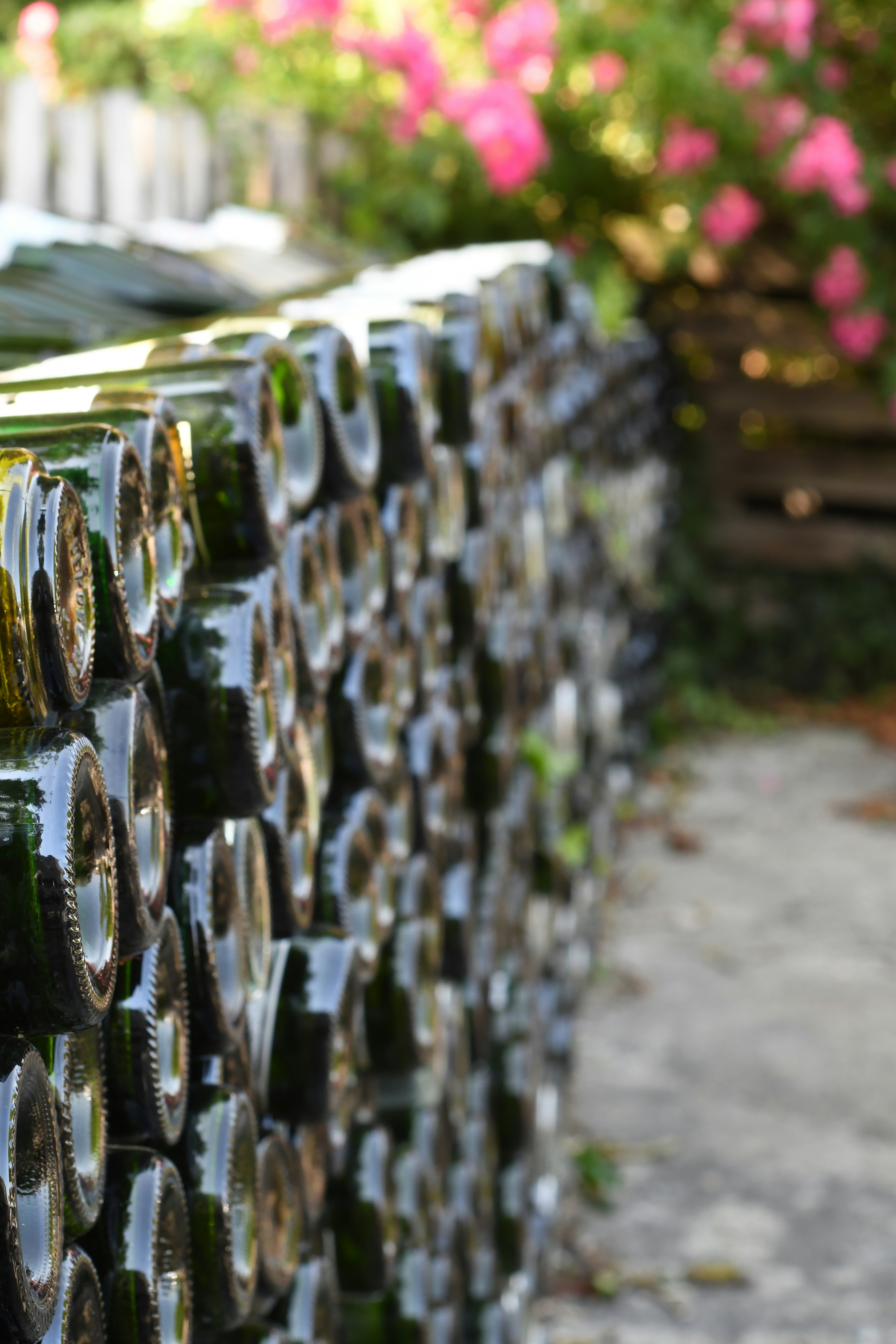 Pila de botellas de vino cerca de arbustos rosados