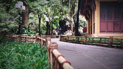 A tranquil garden path lined with soft neutral-toned lanterns leading to the studio.