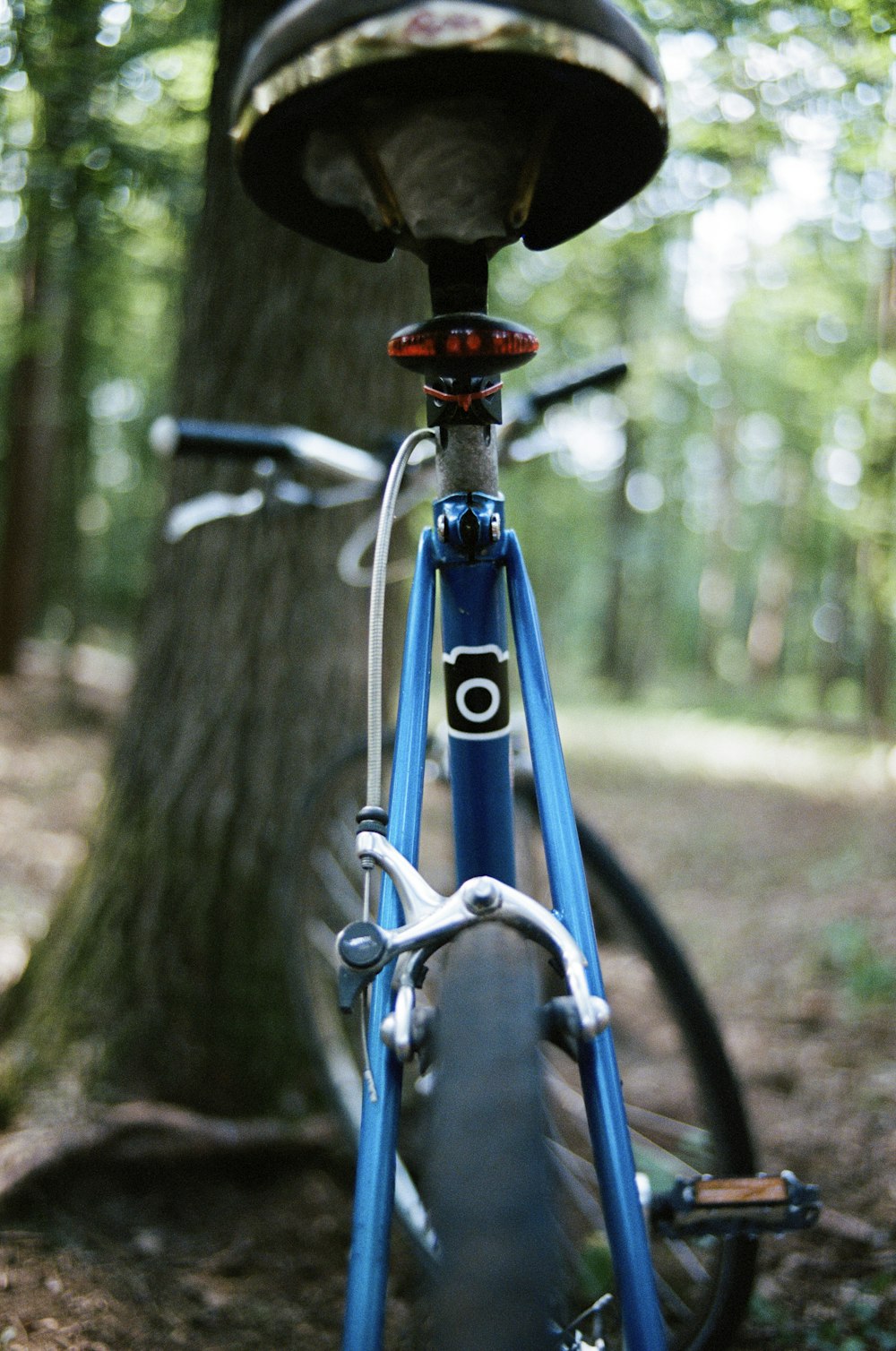 Bicicleta azul estacionada cerca de un árbol