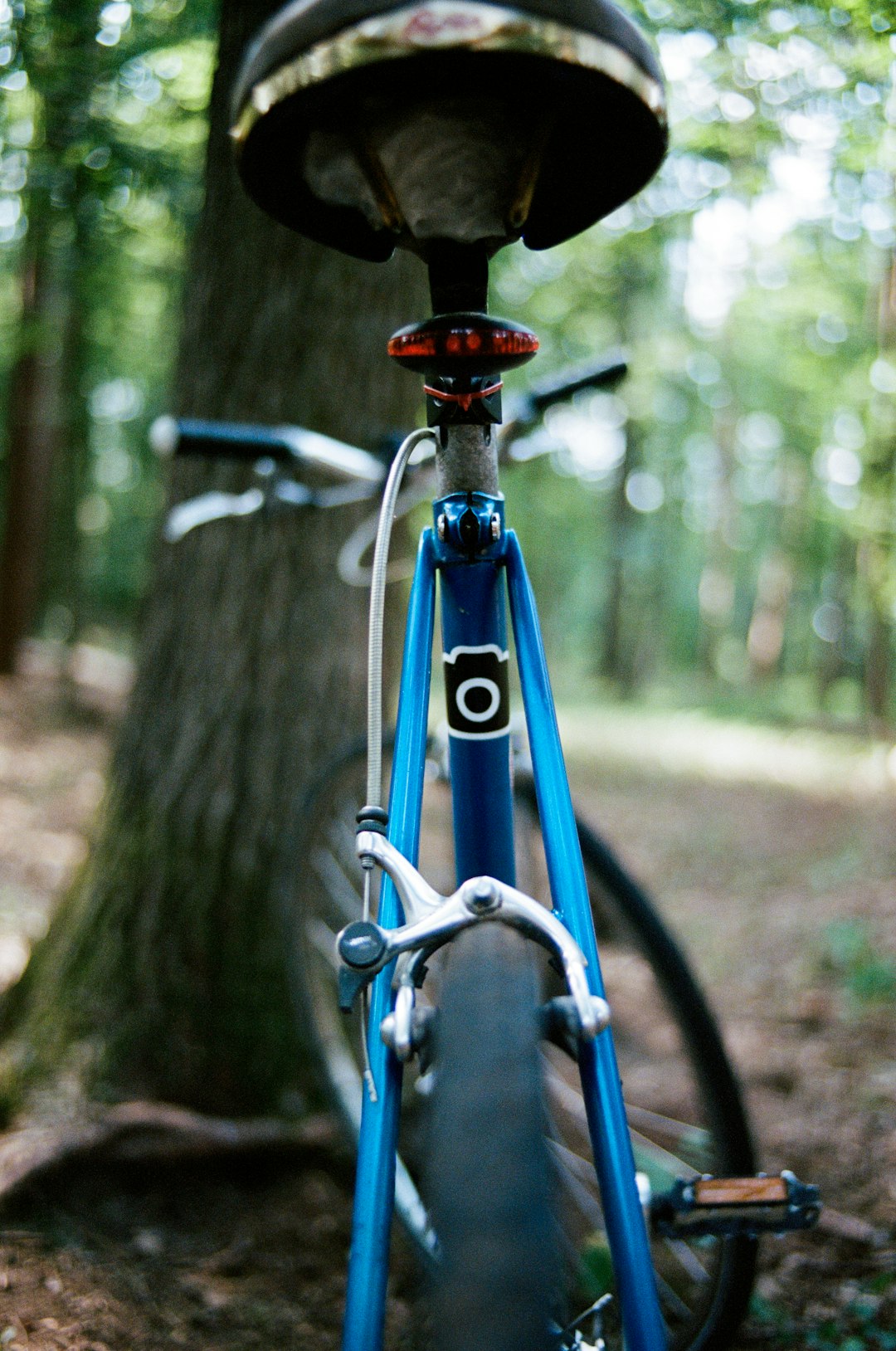 blue bicycle parked near tree