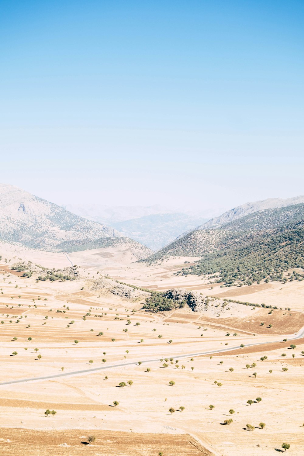 aerial view of desert