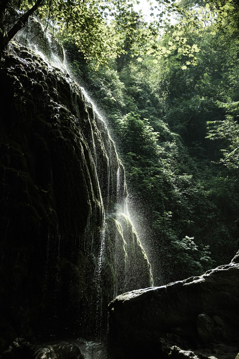 low-angle photography of waterfall surrounded by trees