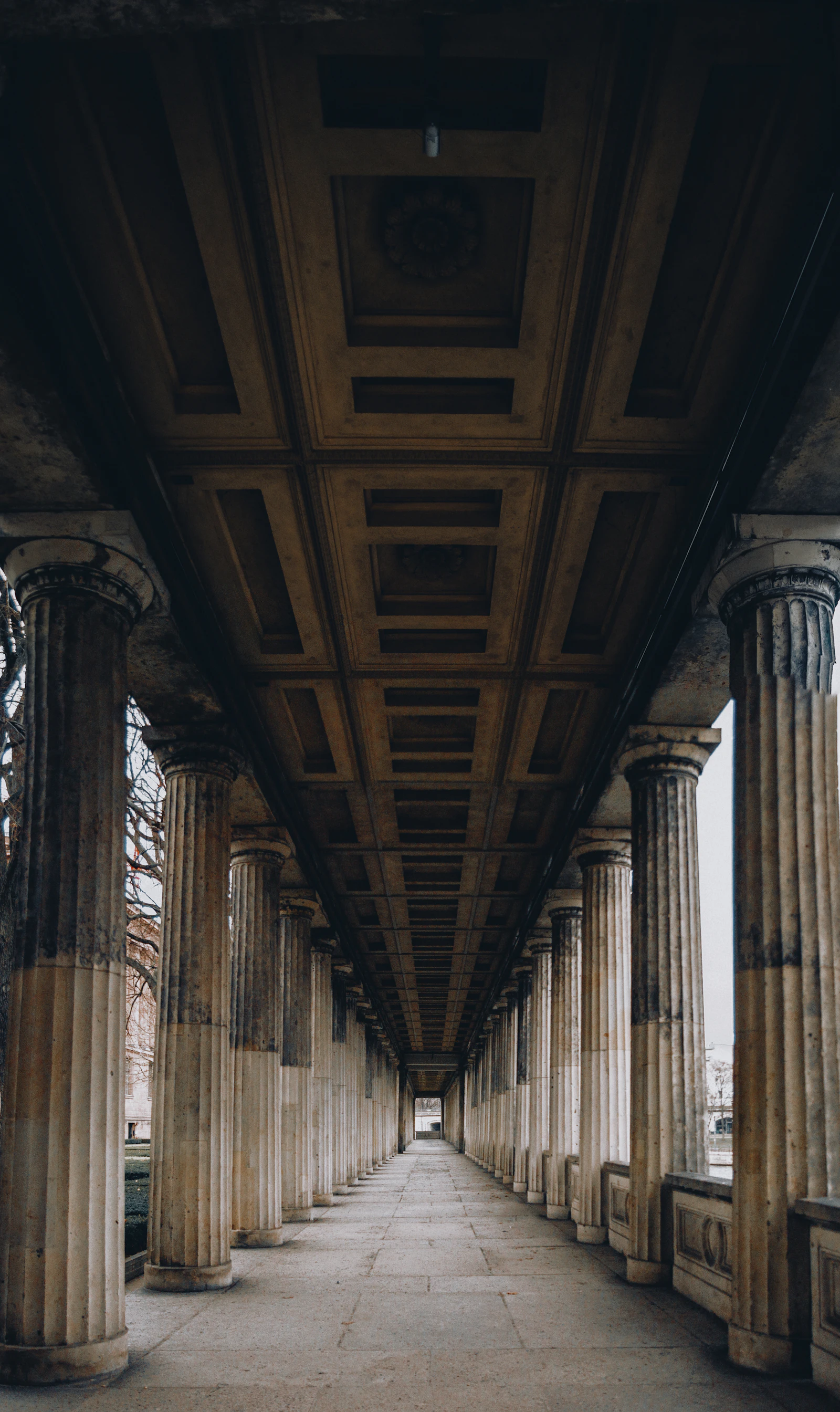 A long colonnade of classical columns receding toward the light