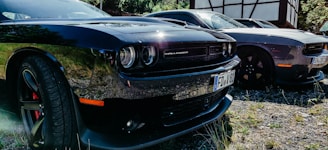 Two muscle cars, one black and one grey, are parked side by side on a grassy area with some gravel. The black car is in the foreground with a visible front grille and headlights, while the grey car is slightly behind and to the right.