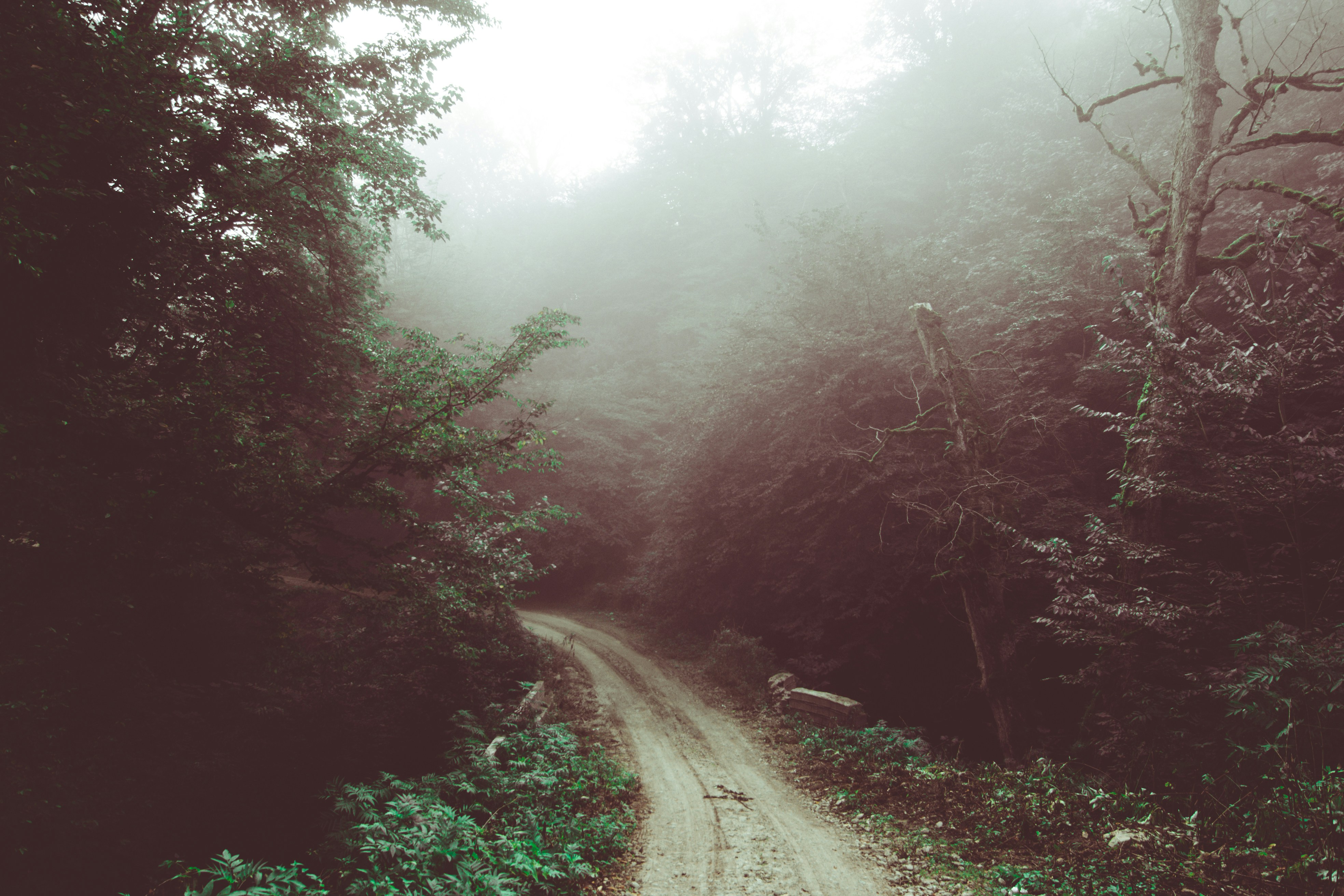 Photo by ardalanhamedani