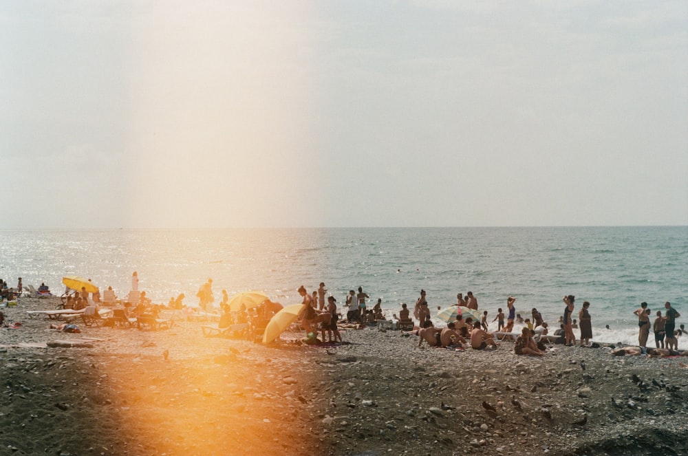 personas sentadas y caminando en la orilla del mar durante el día