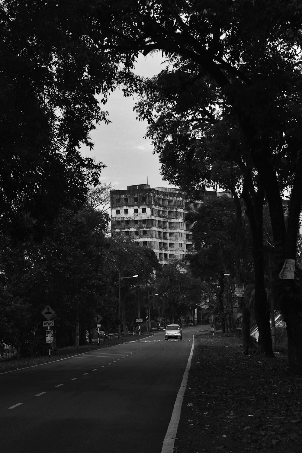 car on road near trees