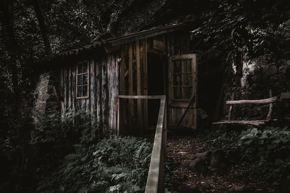 Cabane dans les bois pendant la journée