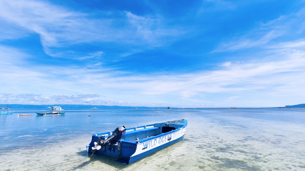 blue and white boat floating in the sea