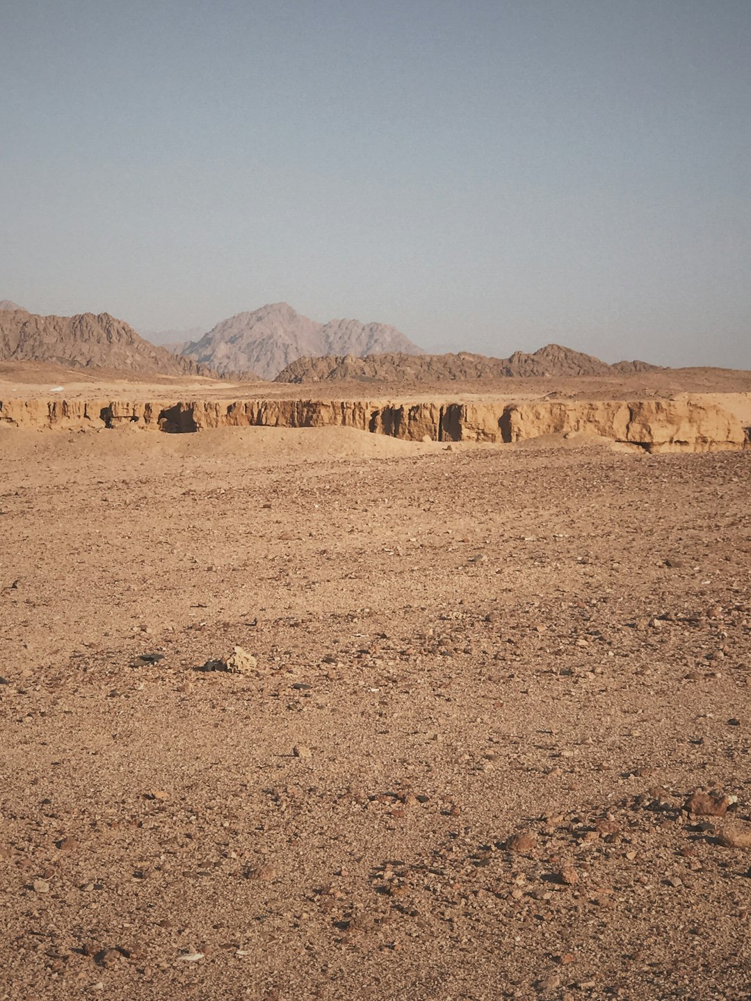 Ground Pictures Download Free Images on Unsplash Ground Pictures Download Free Images on Unsplash