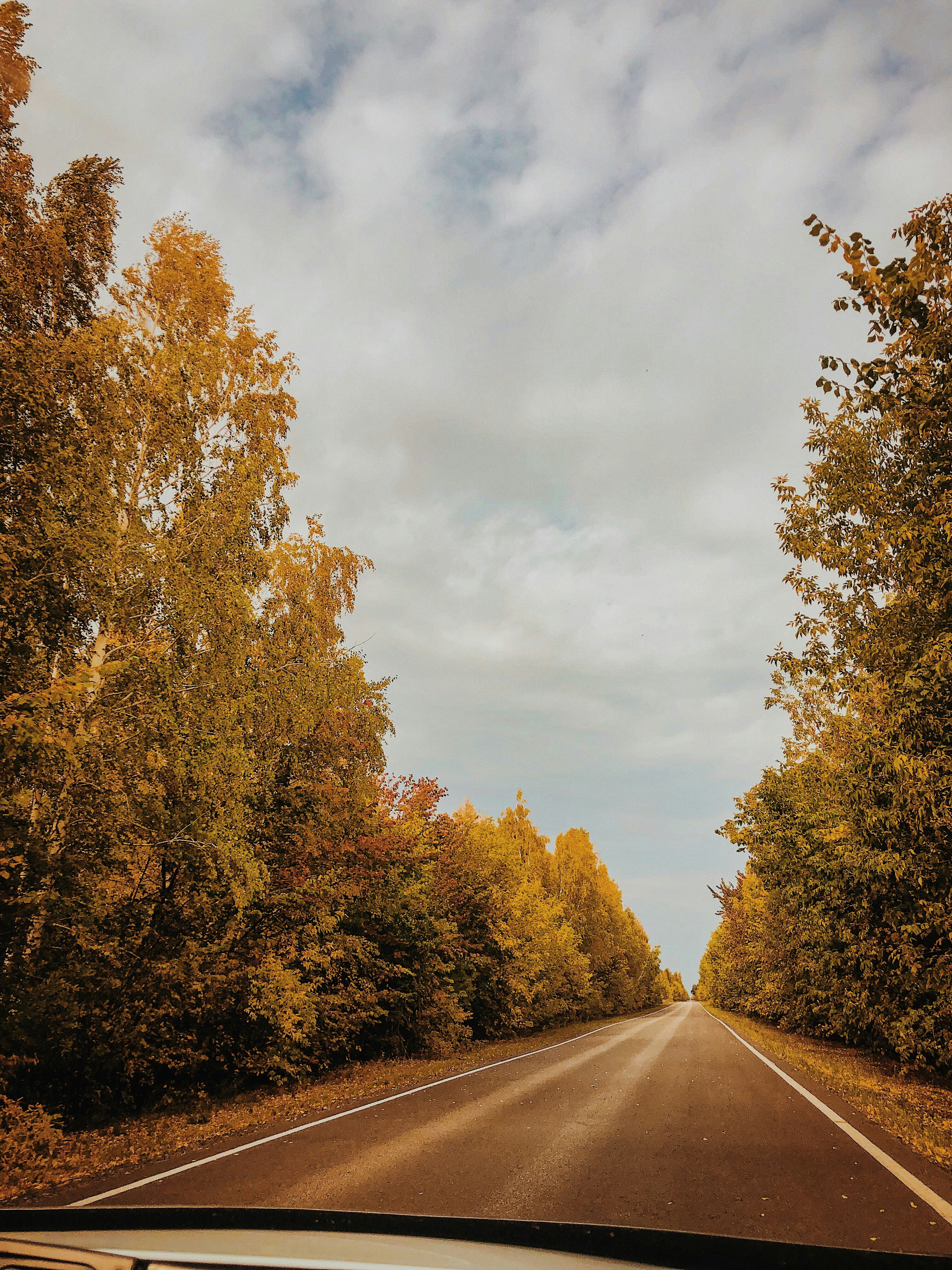 Photo by karinaomarova