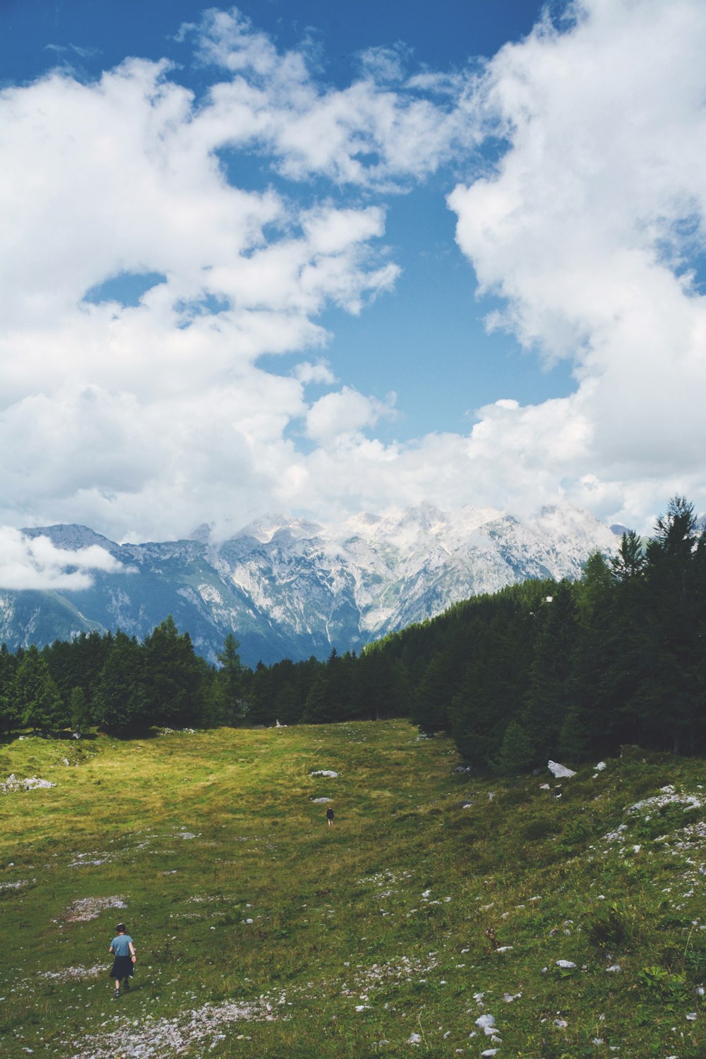 a person walking in a field with mountains in the background