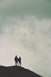 two person standing on cliff
