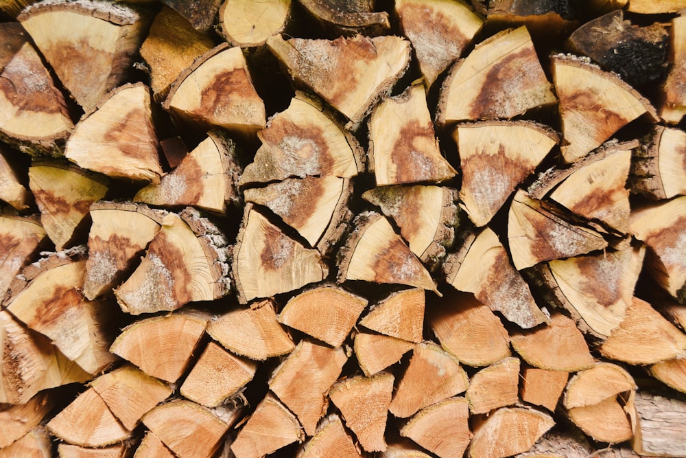 brown firewoods