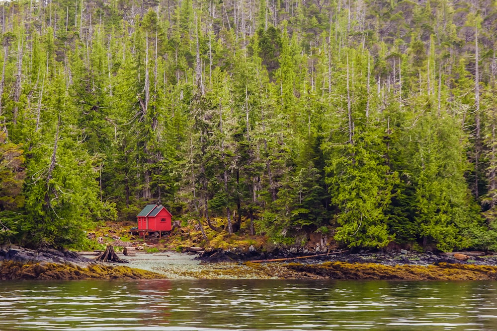 red house surrounded with trees near body of water at daytime