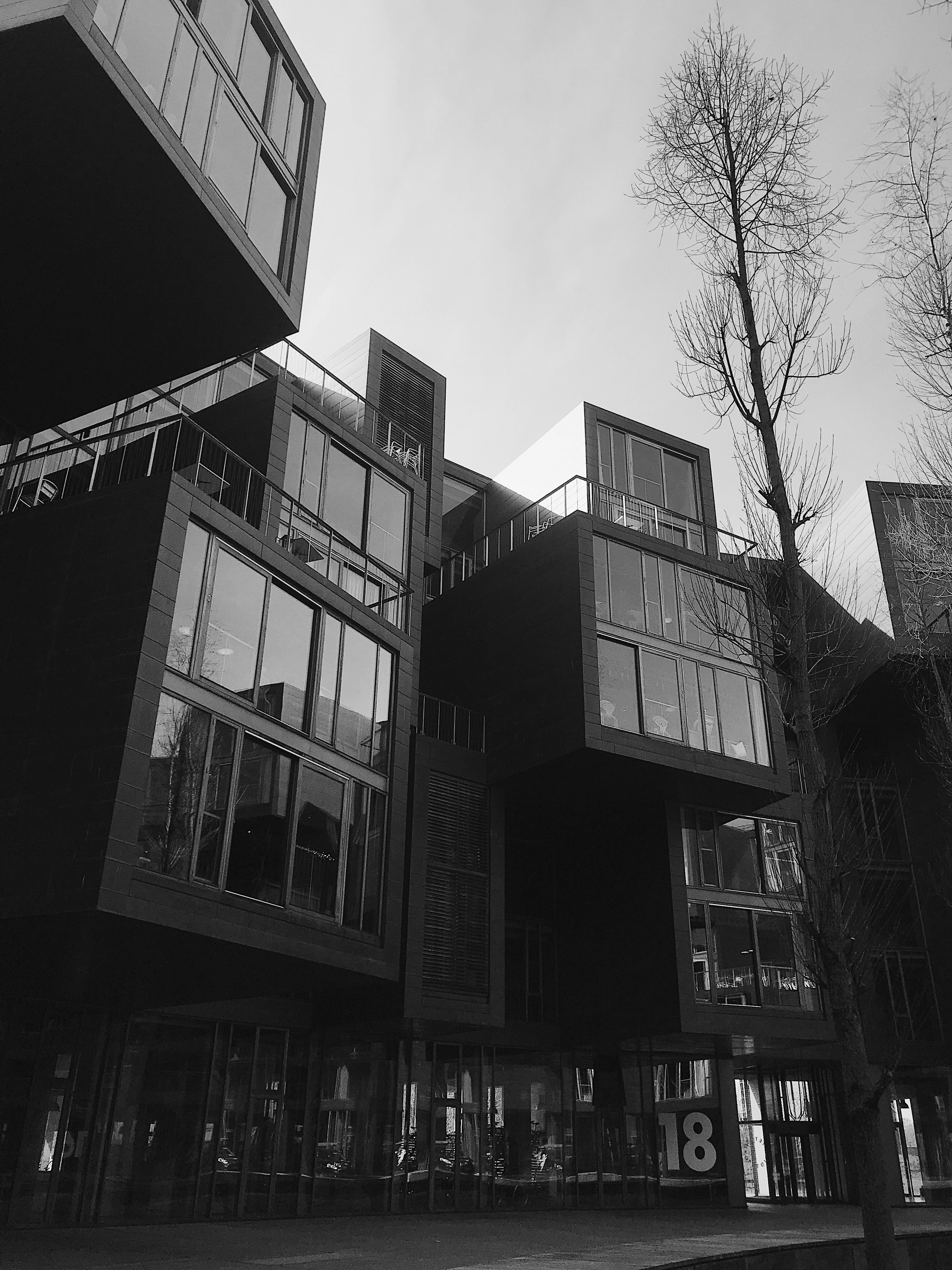 concrete building near tree