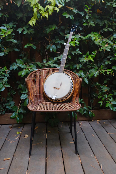 Banjo lesson with Neil Curry