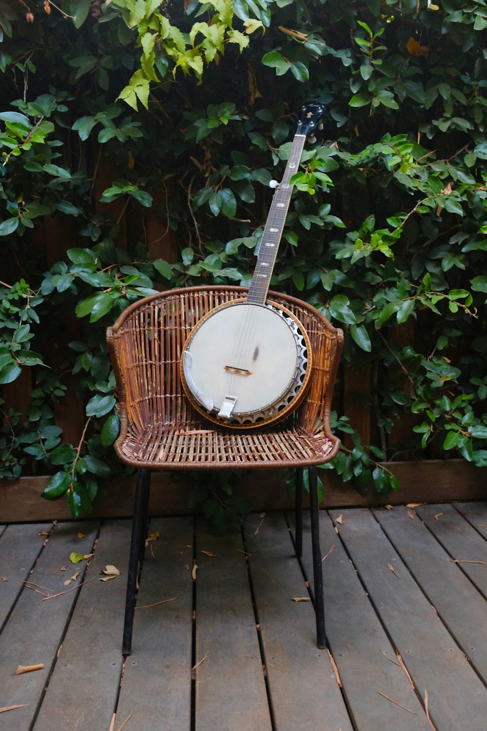 shallow focus photo banjo on brown wicker chair