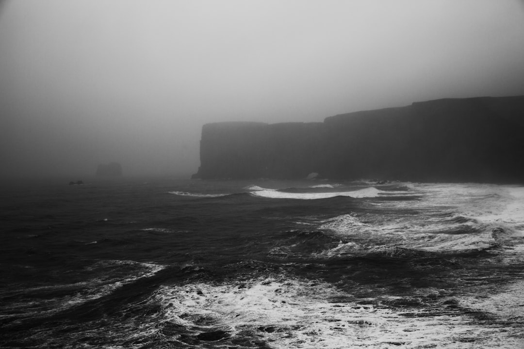 greyscale photo of seashore